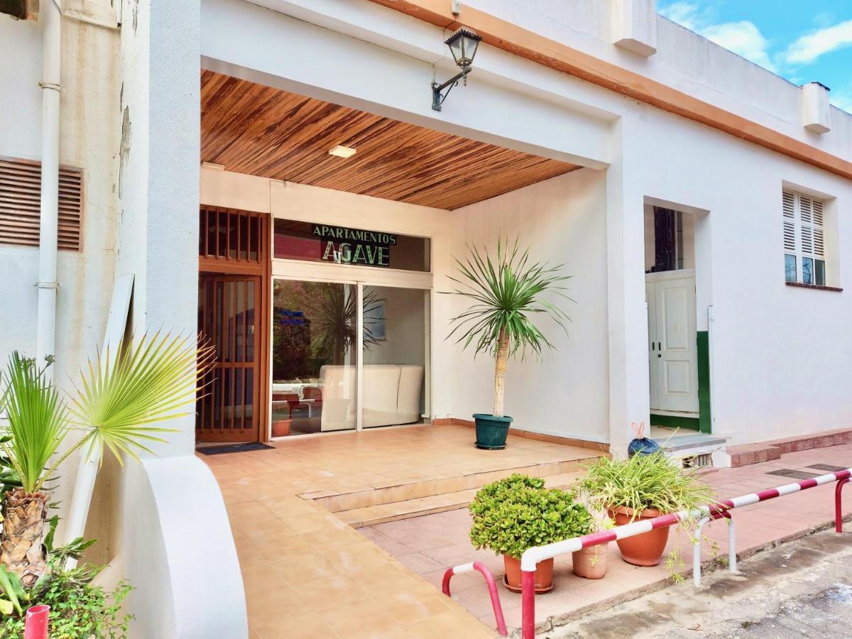 Estudio Plata Puerto de la Cruz (Tenerife) Exterior foto